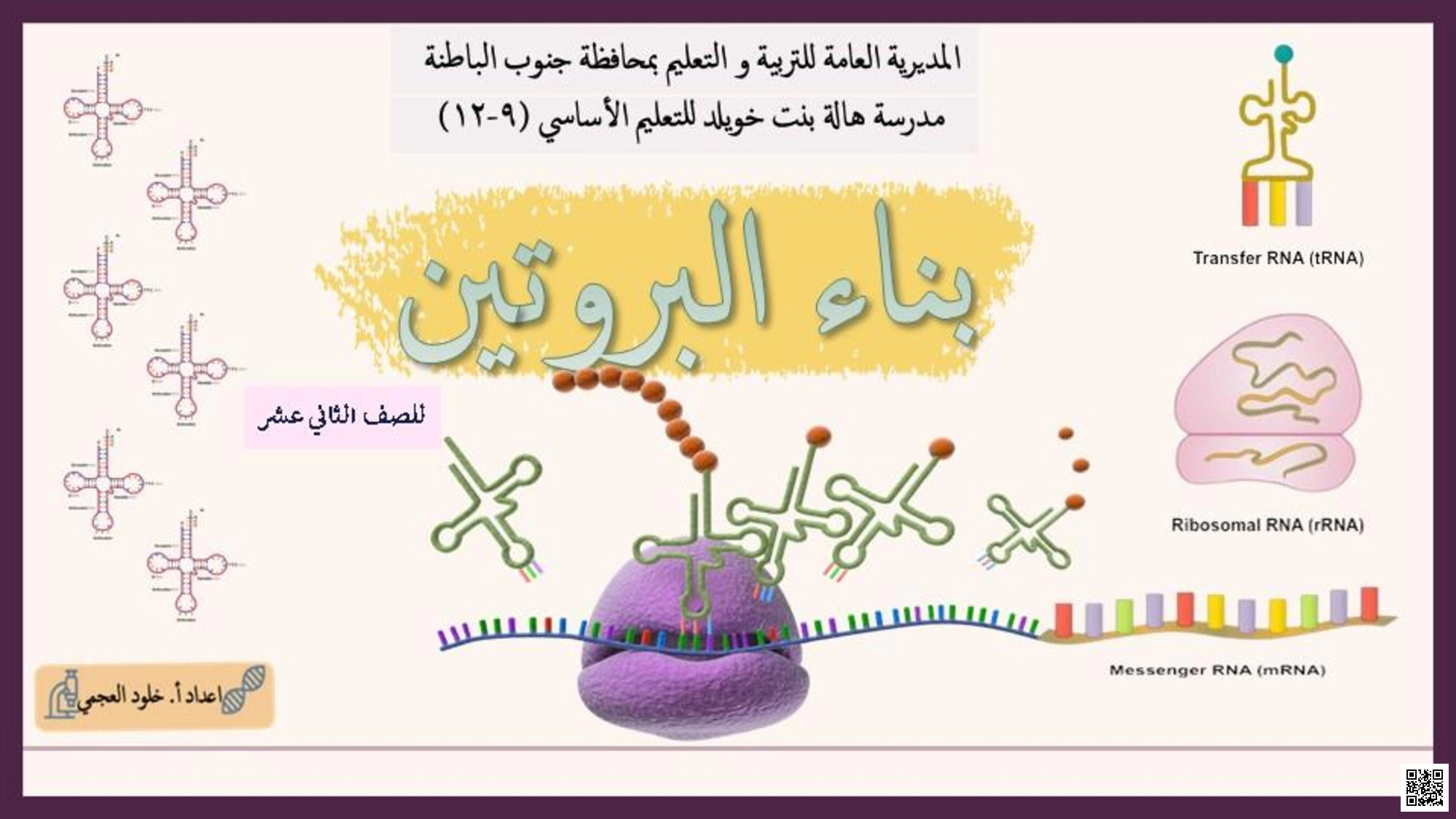 بناء البروتين - علوم - الصف الثاني عشر الفصل الأول بناء البروتين - علوم - الصف الصف الثاني عشر - الفصل الفصل الأول