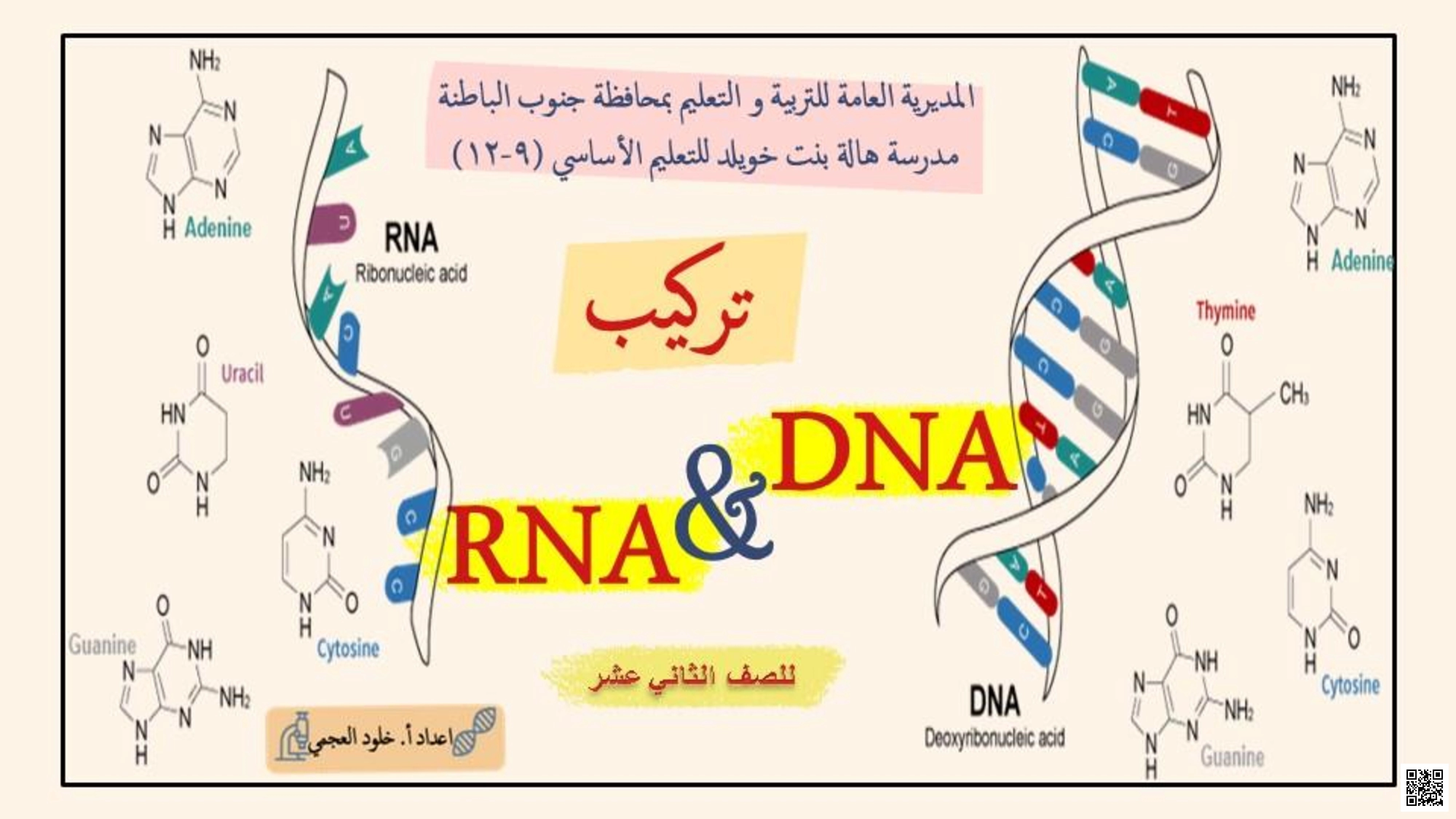 تركيب DNA و RNA - أحياء - الصف الصف الثاني عشر - الفصل الفصل الأول