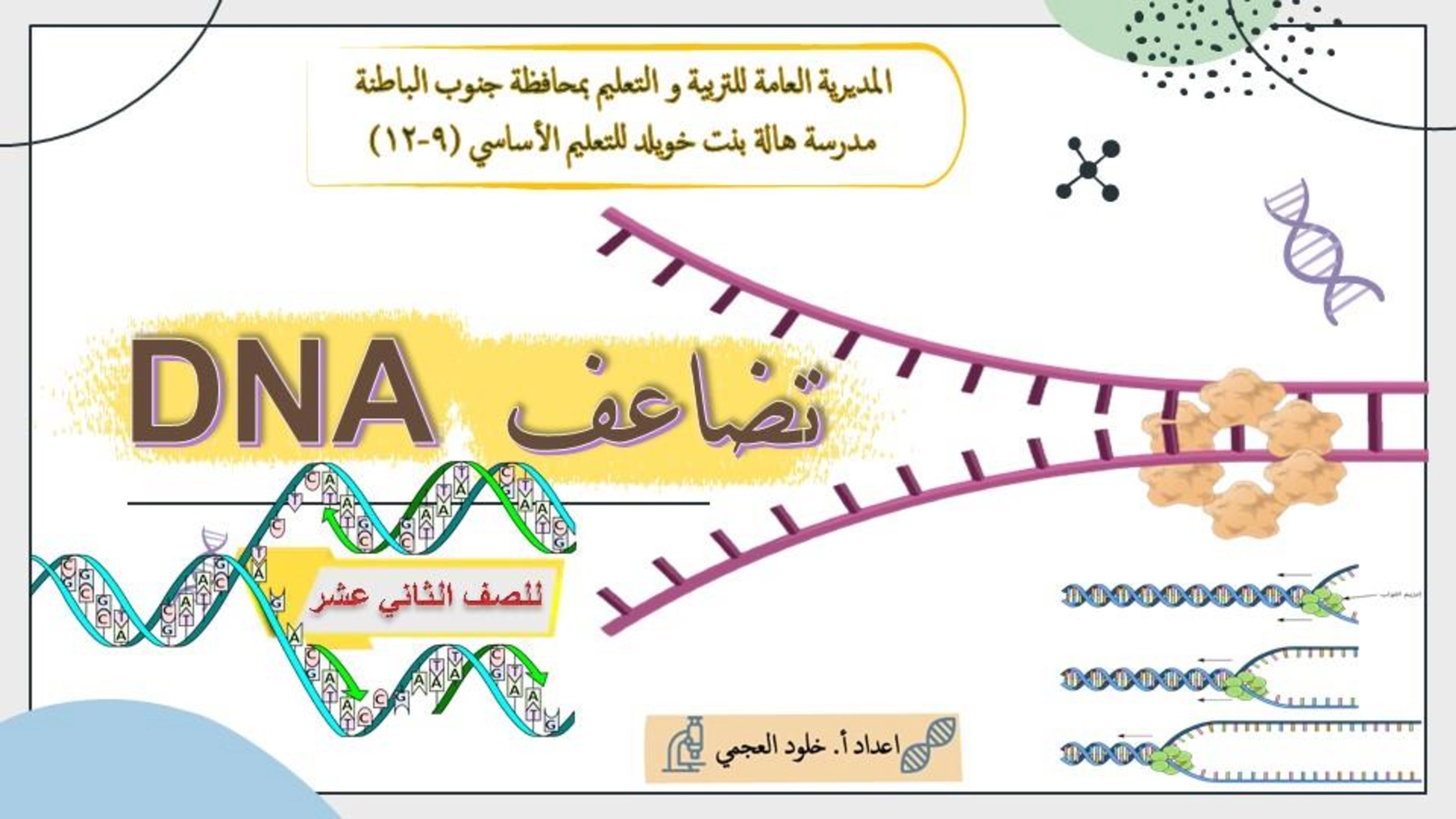 تضاعف DNA - علوم - الصف الثاني عشر الفصل الأول تضاعف DNA - علوم - الصف الصف الثاني عشر - الفصل الفصل الأول