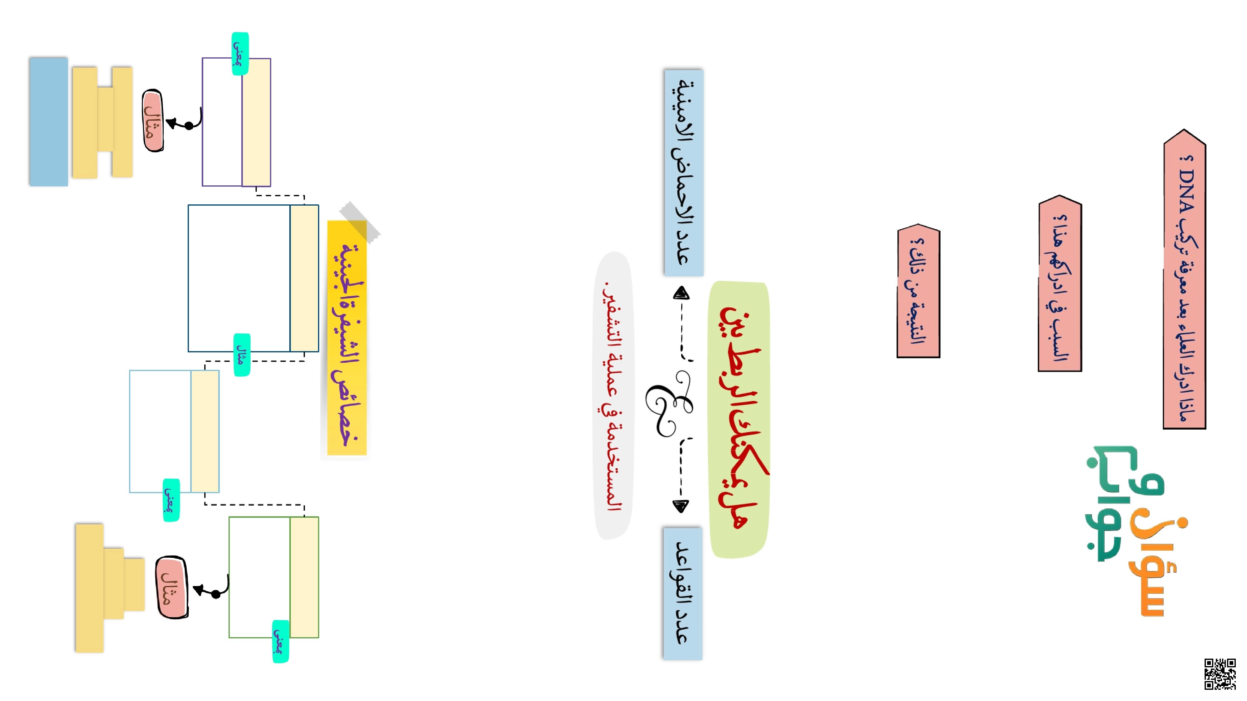 تضاعف DNA - علوم - الصف الصف الثاني عشر - الفصل الفصل الأول