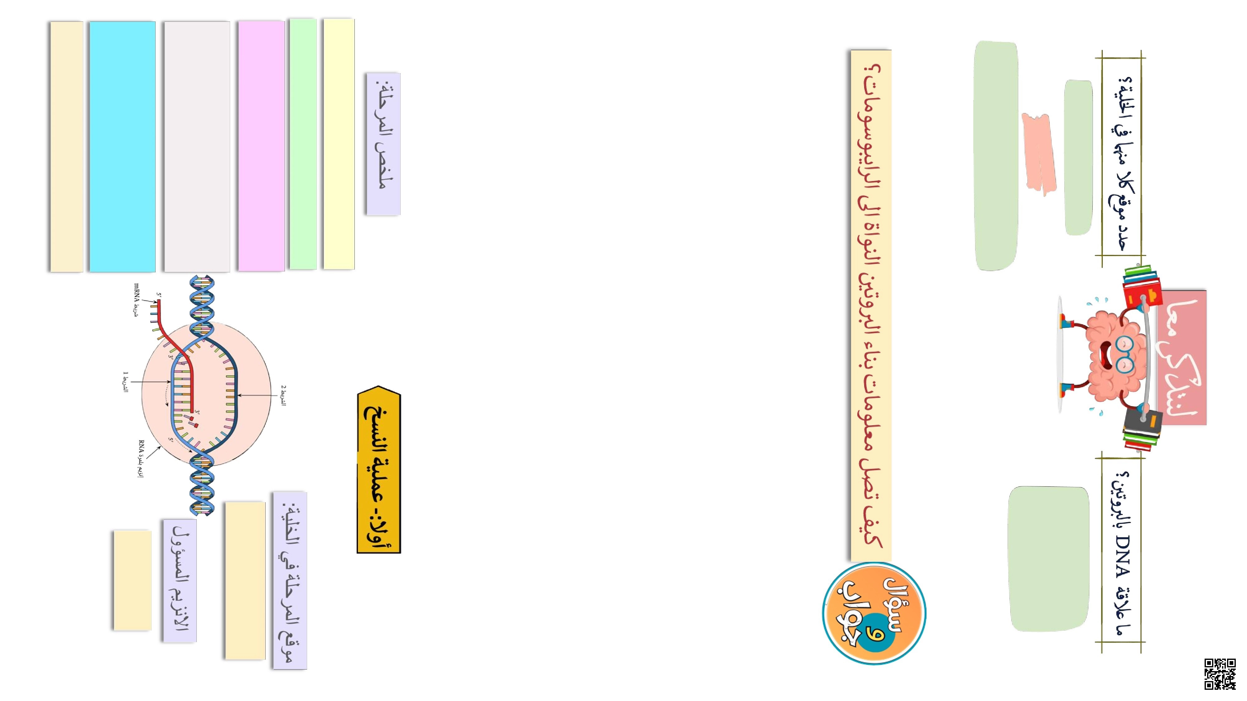 سؤال وجواب حول تضاعف DNA وعمليات النسخ والترجمة - علوم - الصف الثاني عشر الفصل الأول سؤال وجواب حول تضاعف DNA وعمليات النسخ والترجمة - علوم - الصف الصف الثاني عشر - الفصل الفصل الأول