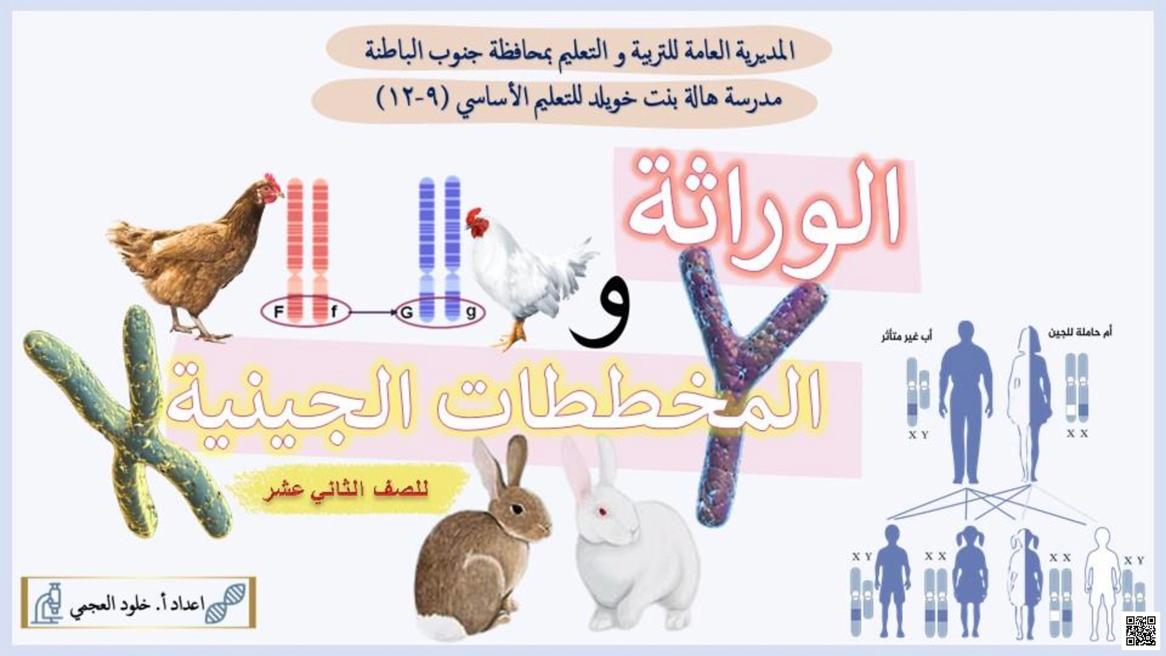 الوراثة والمخططات الجينية - أحياء - الصف الصف الثاني عشر - الفصل الفصل الأول