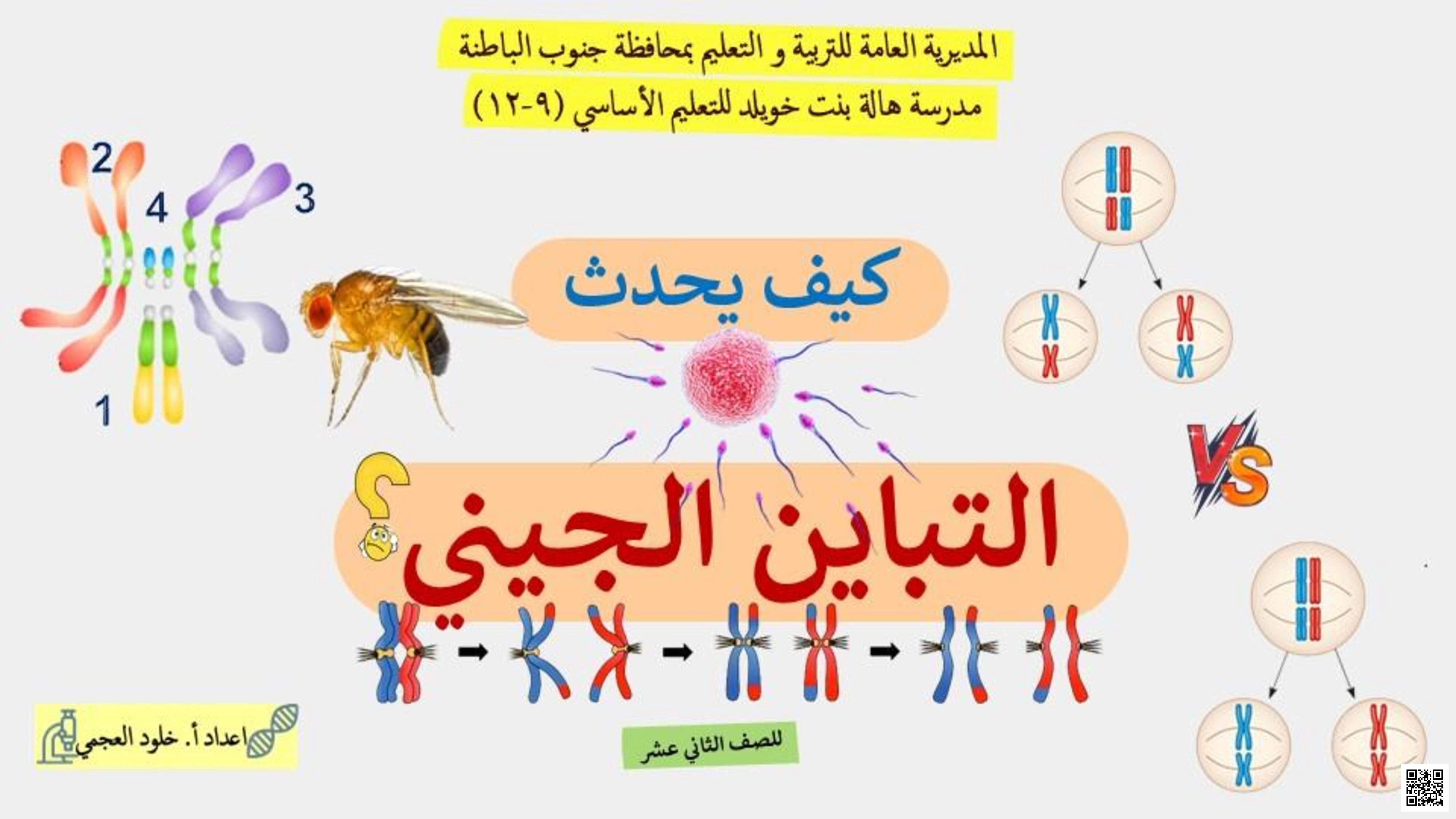كيف يحدث التباين الجيني - أحياء - الصف الصف الثاني عشر - الفصل الفصل الأول