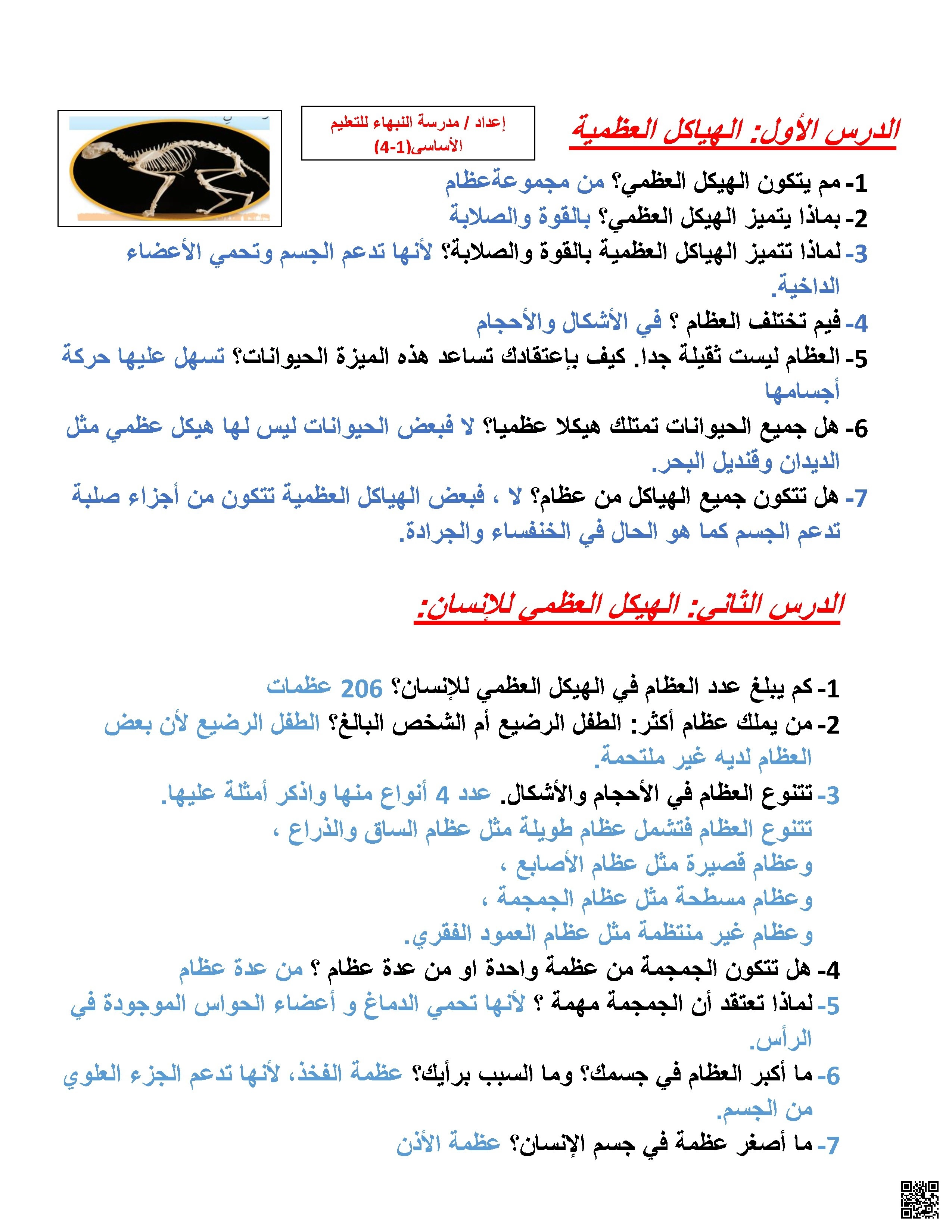 ملخص دروس الهيكل العظمي وأهميته