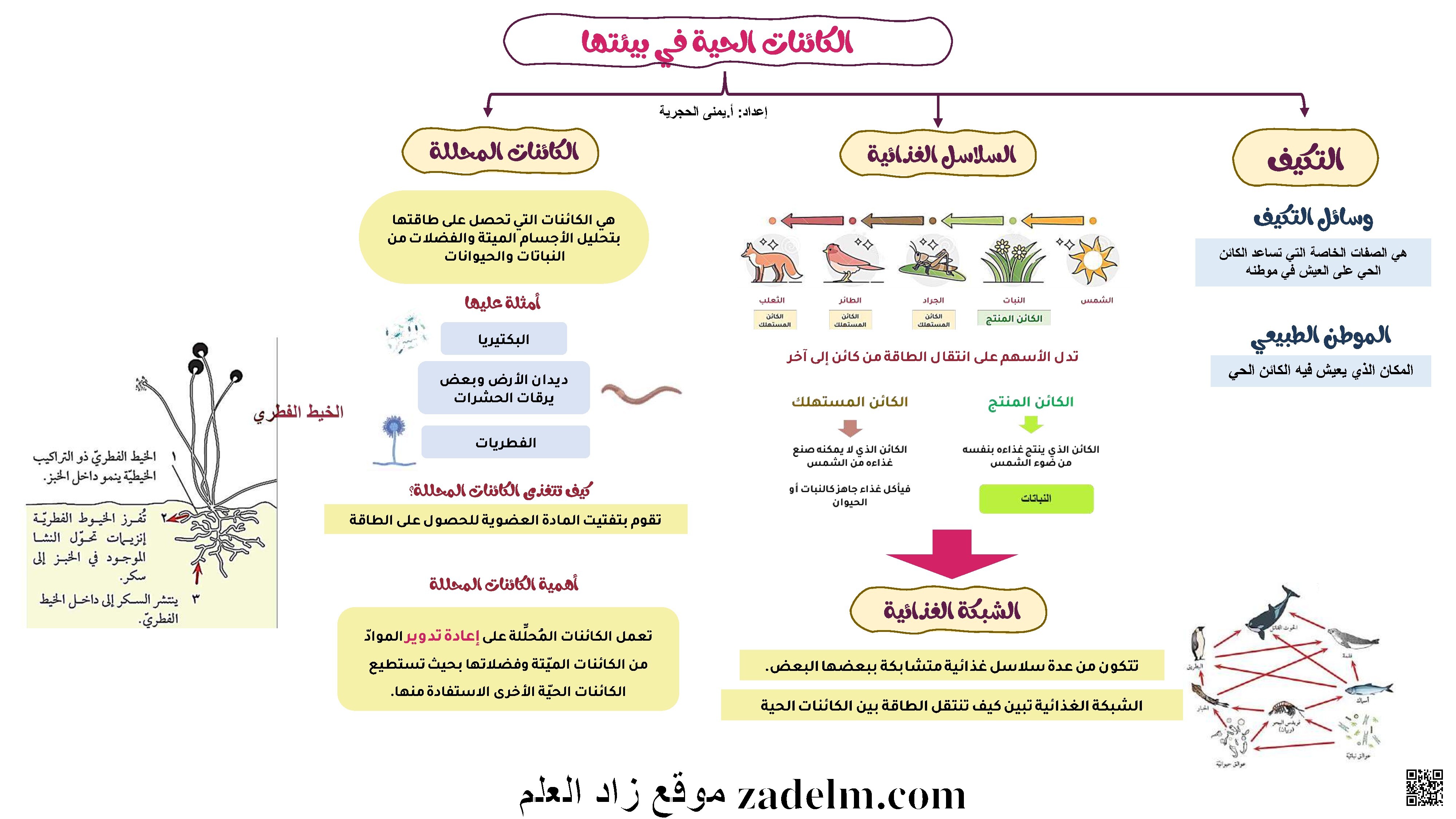 ملخصات جميع الوحدات 2026 - علوم - الصف الصف السابع - الفصل الفصل الثاني